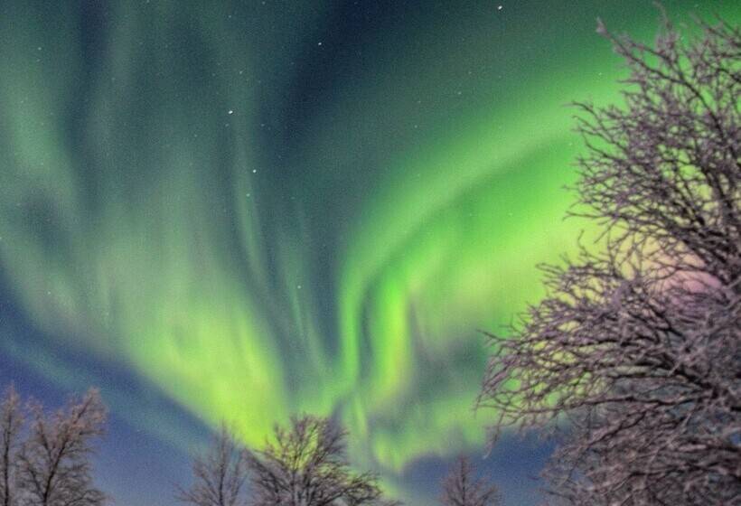 אתר נופש Bear Corner Lodge