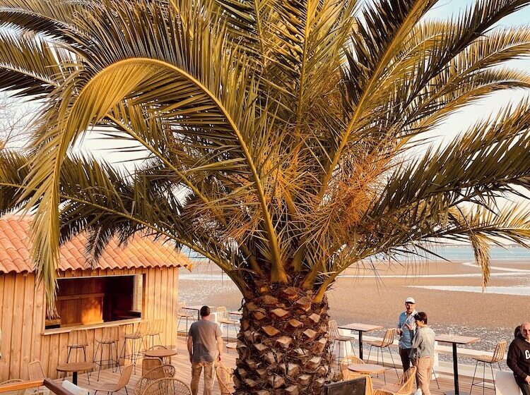 בית מלון כפרי Hôtel L Albatros