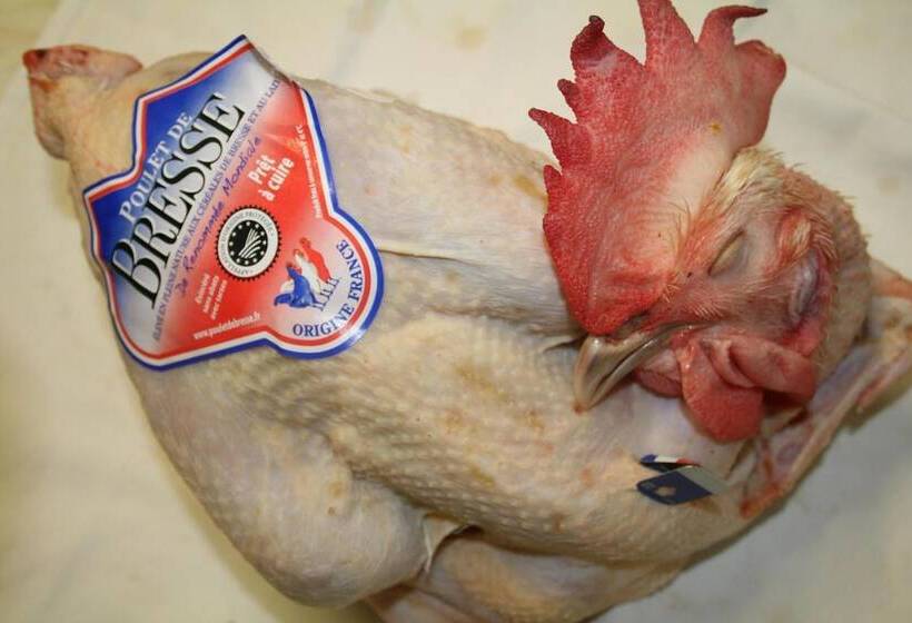 ホテル Logis Hostellerie Bressane