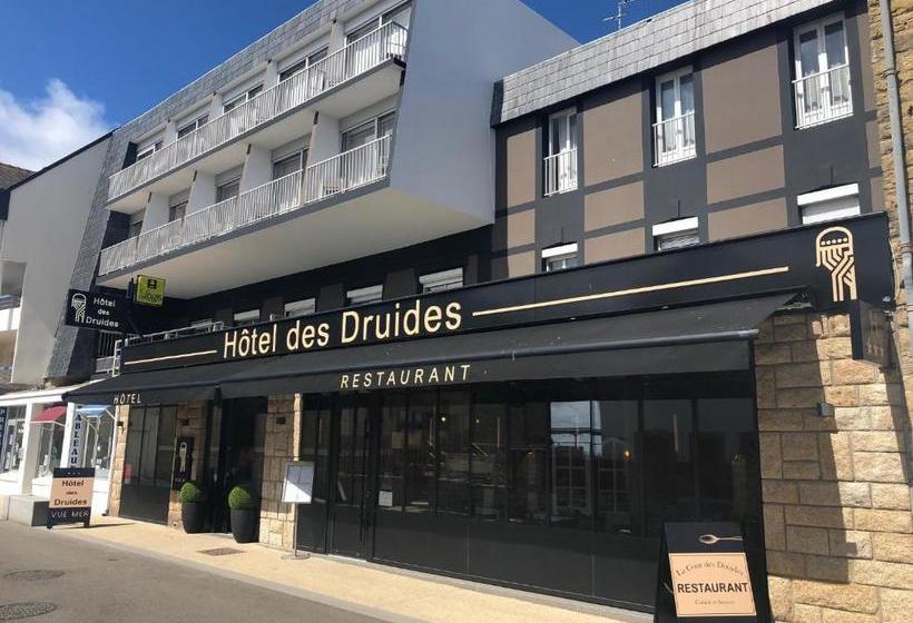 ホテル Hôtel Des Druides