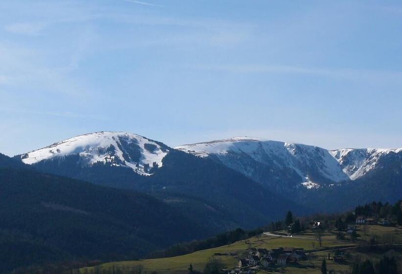 酒店 Résidence Soansa Du Gérardmer   Col De La Schlucht