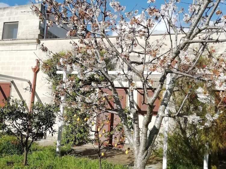 ベッドアンドブレックファースト Masseria Dei 12 Granai