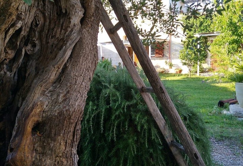 ベッドアンドブレックファースト Masseria Dei 12 Granai