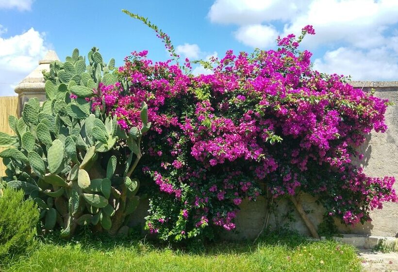 ベッドアンドブレックファースト Masseria Dei 12 Granai