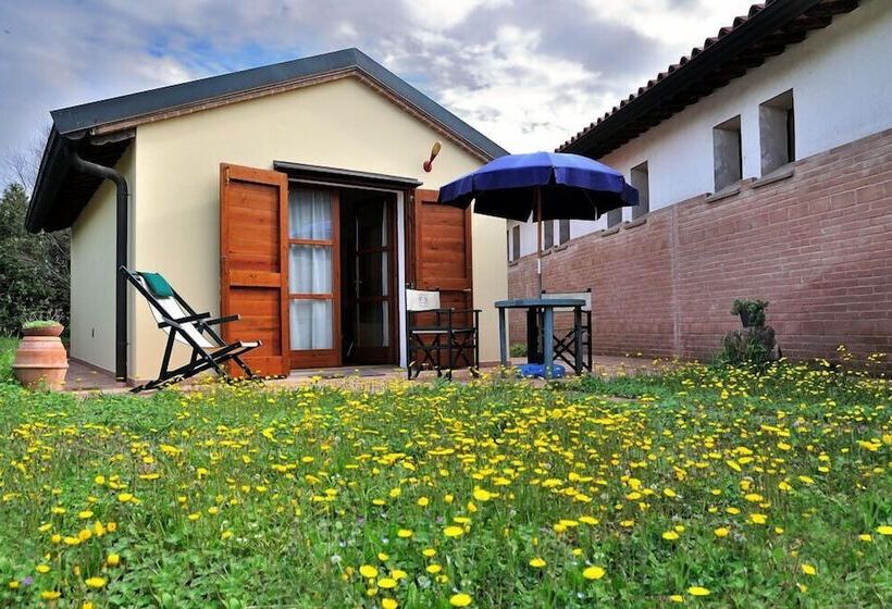 乡村酒店 Agriturismo Podere San Michele