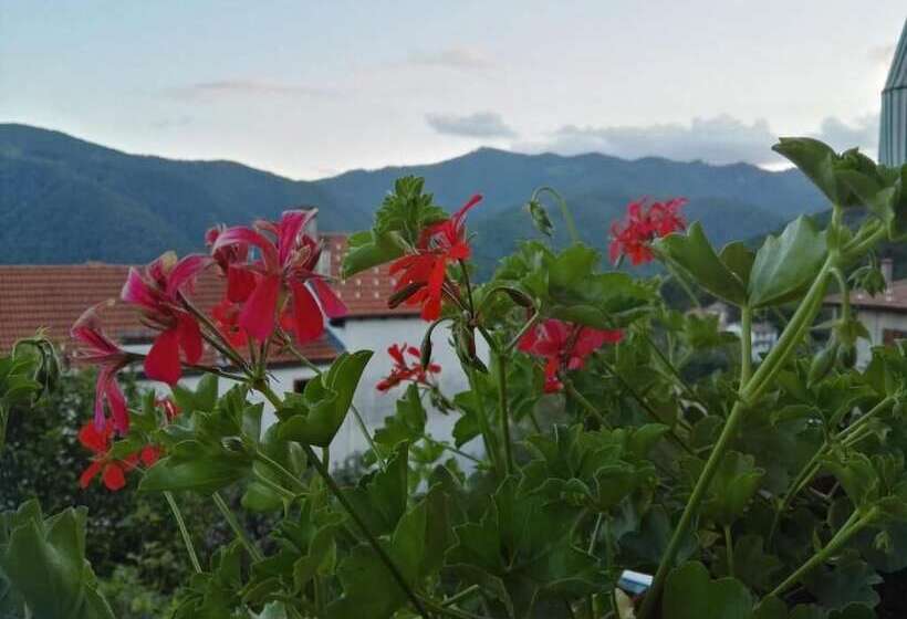 B&b Guglielmina