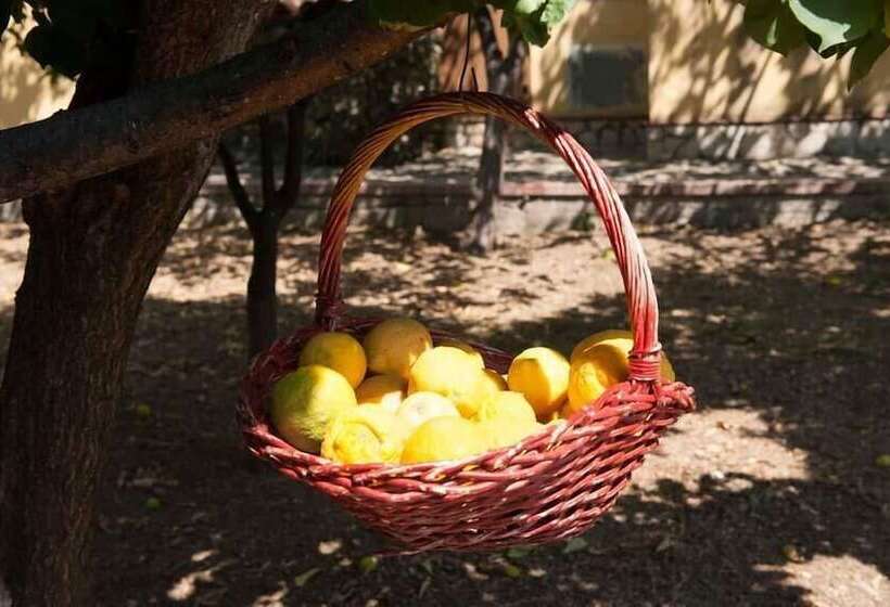 مبيت وإفطار Nel Giardino Dei Limoni