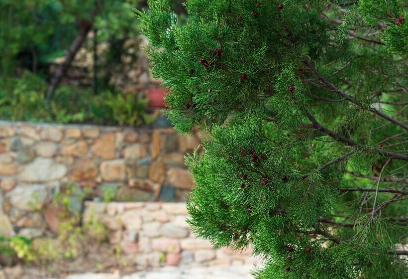 צימר Sa Guardia De Ferricci