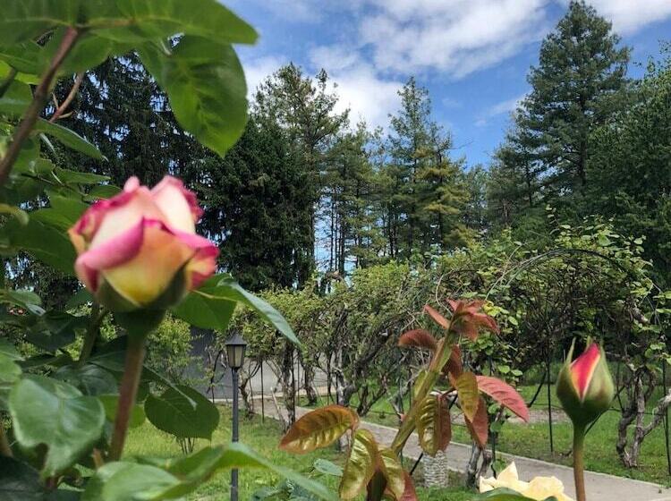 민박 Villa Bonelli Bed & Fest