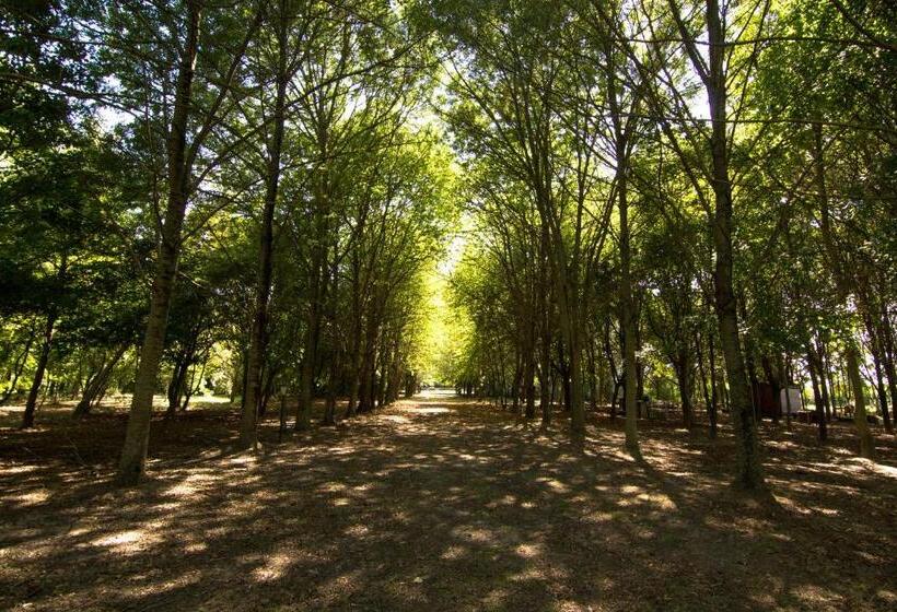 فندق ريفى Casolare La Quercia