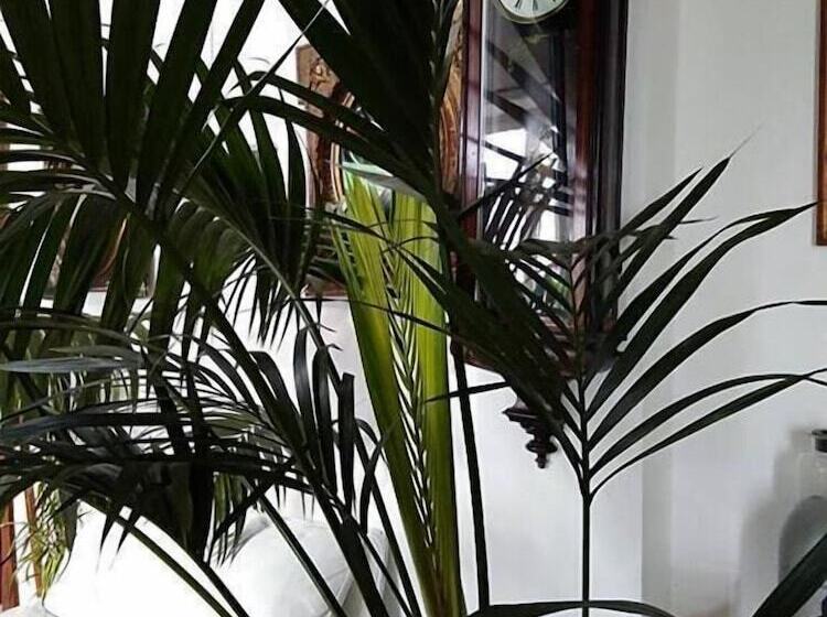 Pensão Il Camaleonte