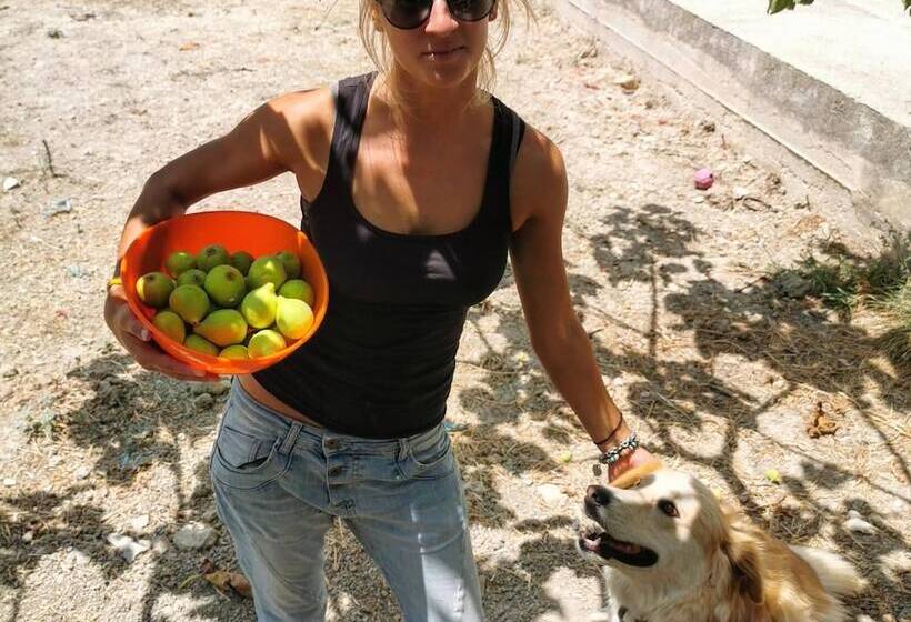 B&b Polvere Di Stelle