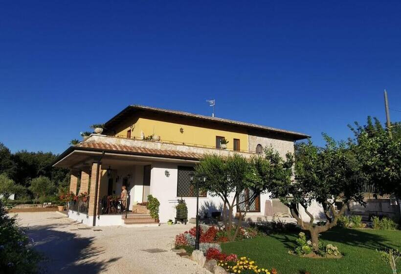 B&b Sykelgrima