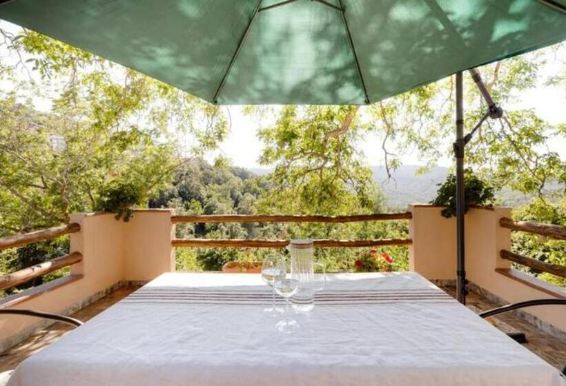 Agrifoglio B&b Con Giardino