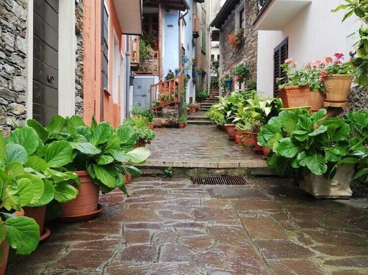 Agrifoglio B&b Con Giardino