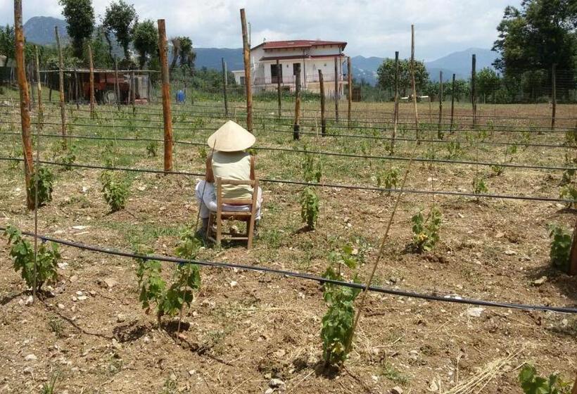 ベッドアンドブレックファースト L Arcadia