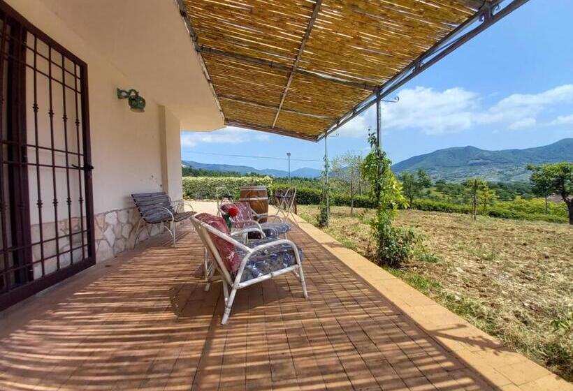 ベッドアンドブレックファースト L Arcadia