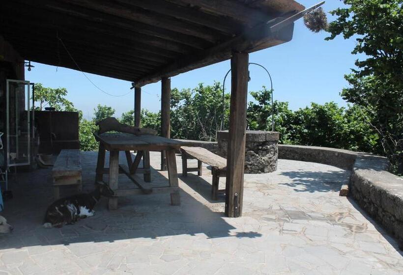 هتل روستایی Agriturismo La Caraffara Sull  Etna