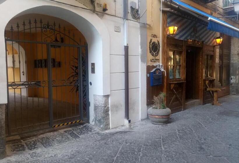 پانسیون B&b Ninfa