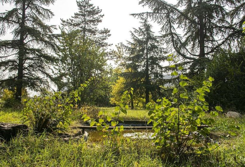 بنسيون Villa Principi Della Spina
