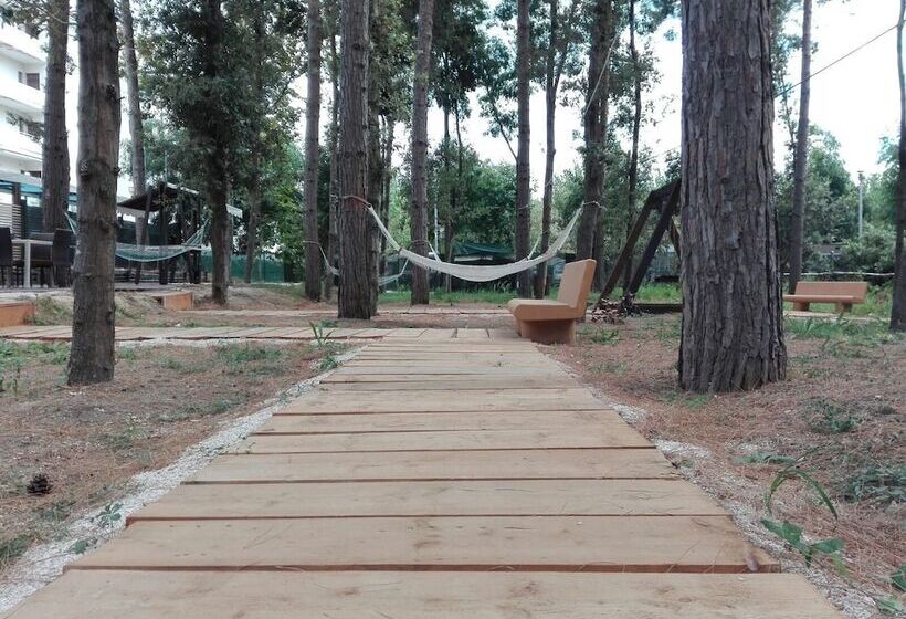 Biancopineta B&b