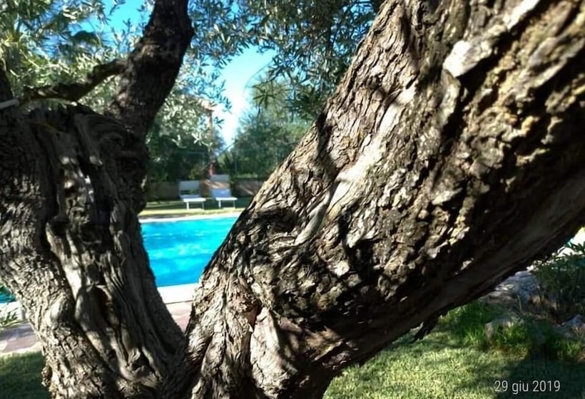 تختخواب و صبحانه La Ginestra