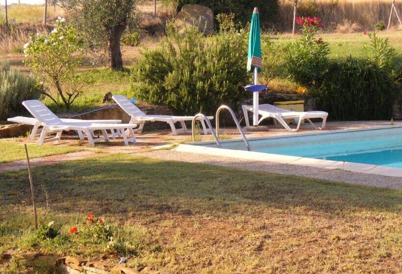 فندق ريفى Agriturismo Tinti