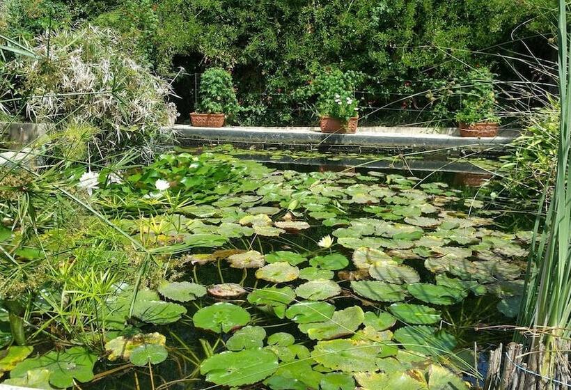 پانسیون Le Stanze Di Villa Labruto