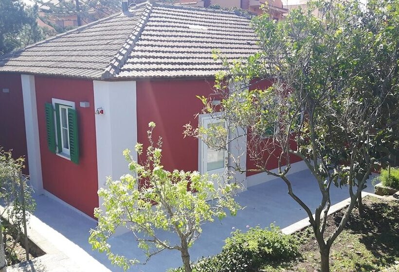 پانسیون Le Stanze Di Villa Labruto