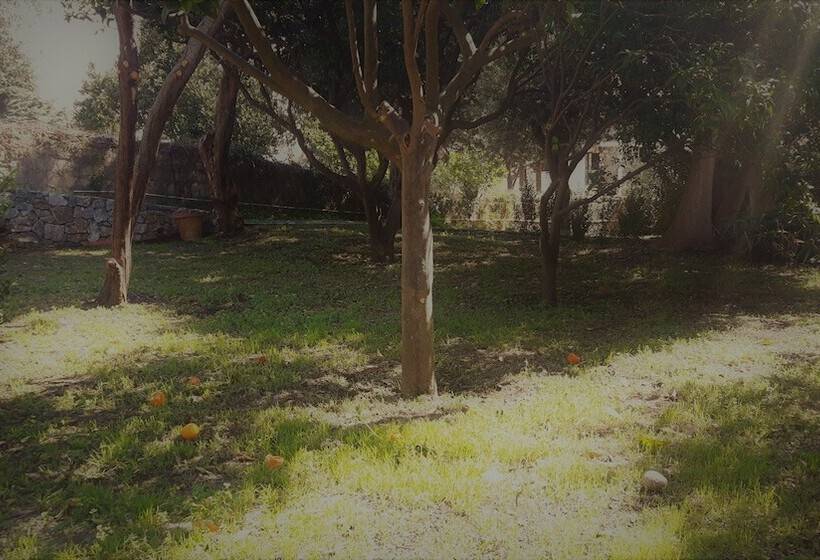 پانسیون Le Stanze Di Villa Labruto