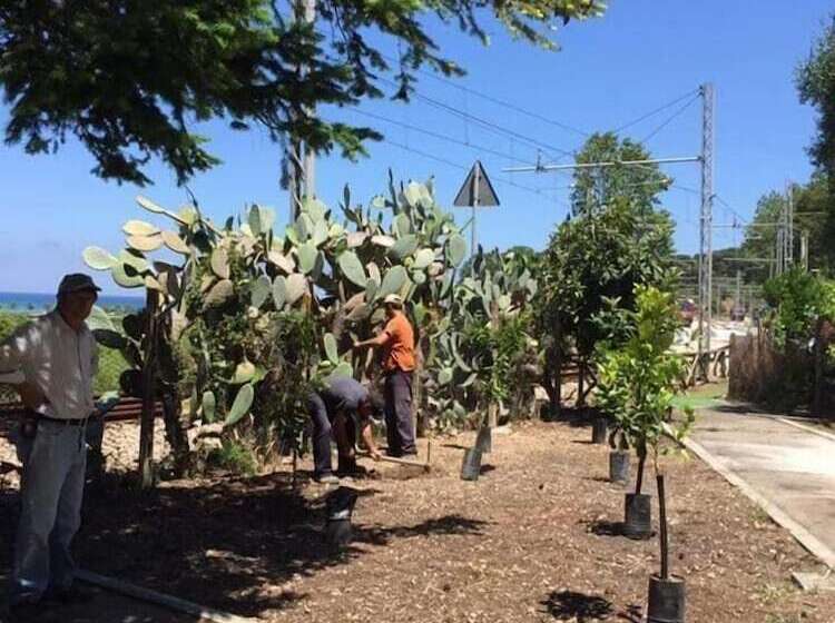 צימר Le Case Del Parco