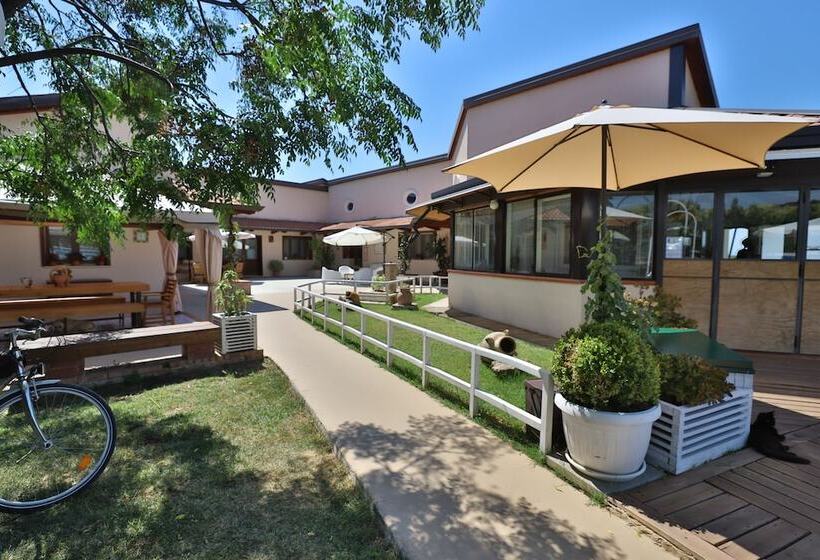 تختخواب و صبحانه Placide Vivere