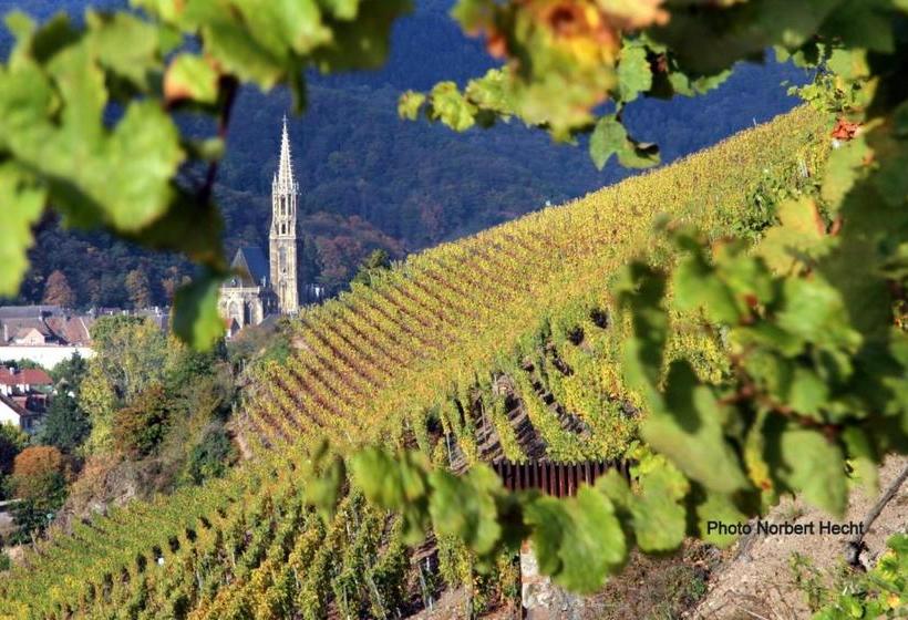 酒店 Hôtel Du Rangen