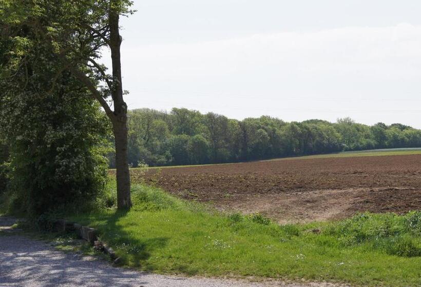 호텔 Logis La Ferme Du Vert
