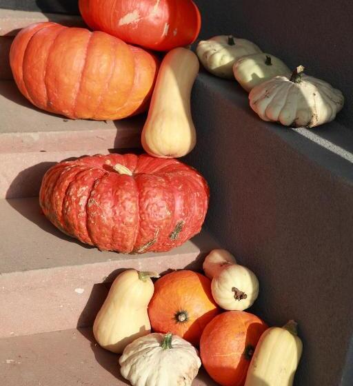 酒店 Les Portes De La Vallee