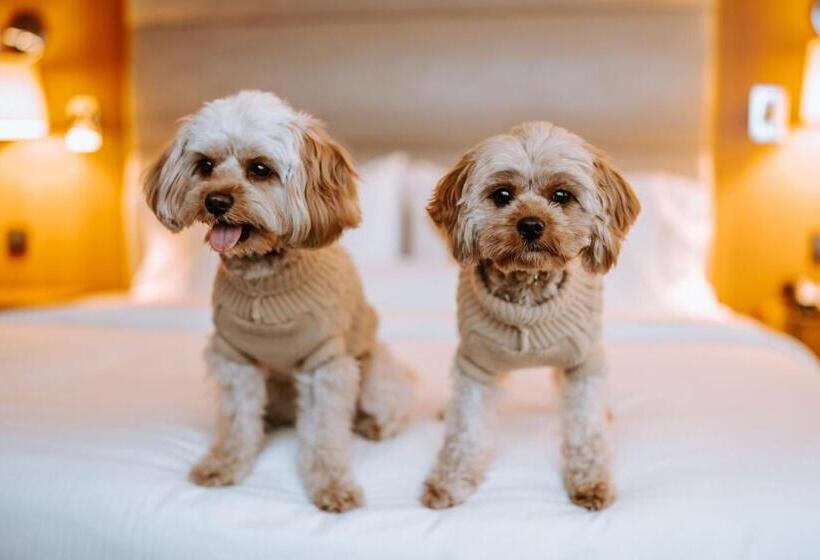 هتل The Westin Warsaw