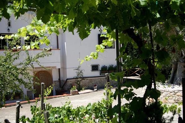 مبيت وإفطار Agriturismo Parcodainonni