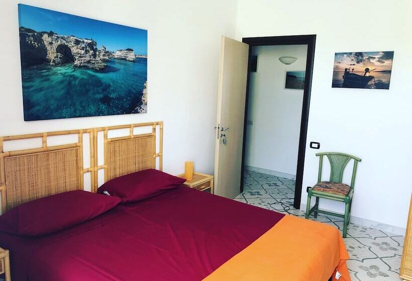 تختخواب و صبحانه La Palude Del Conte