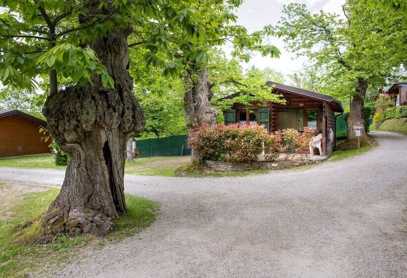 בית מלון כפרי Campeggio Parco Dei Castagni Srl