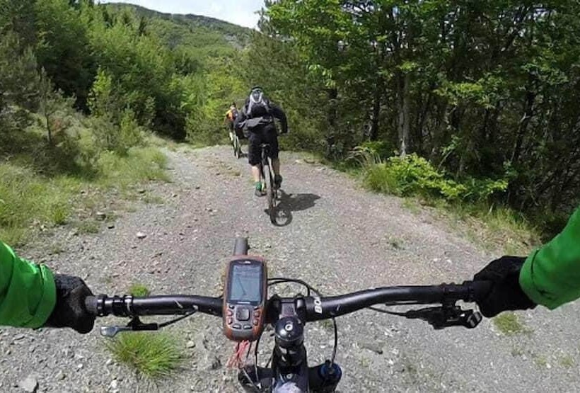 בית מלון כפרי Campeggio Parco Dei Castagni Srl