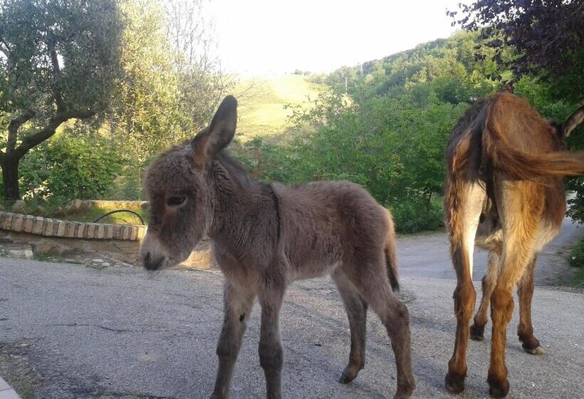فندق ريفى Agriturismo La Vecchia Fontana