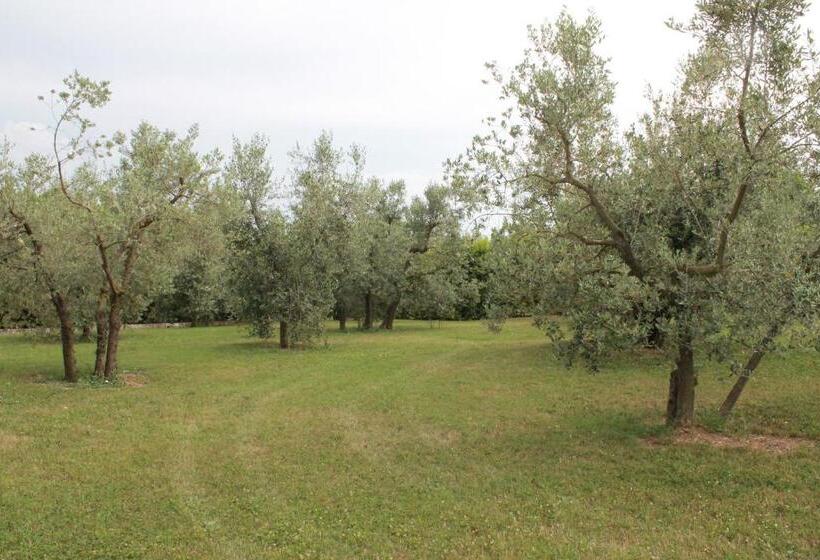 فندق ريفى Agriturismo Piano Grande