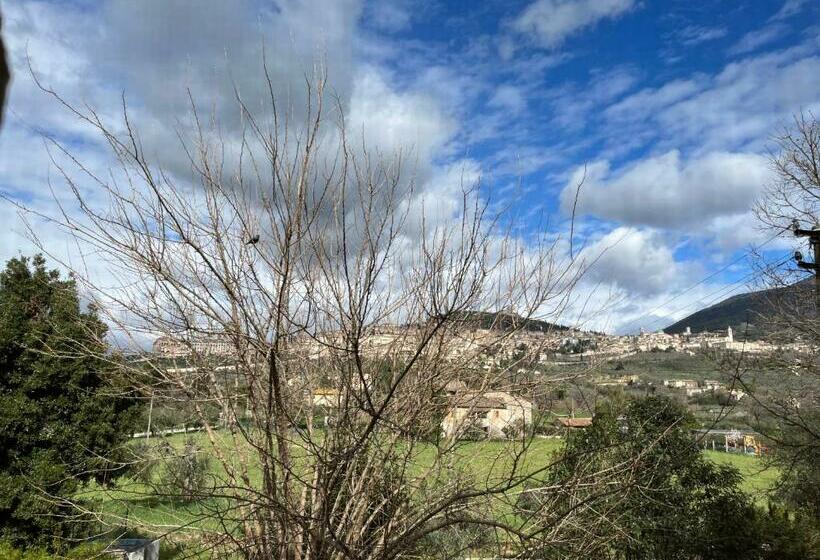 بنسيون Camere Rosignoli