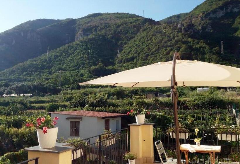 مبيت وإفطار Annabella S Country House