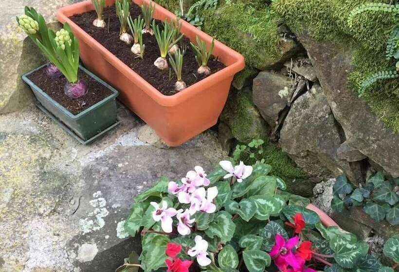 住宿加早餐  Il Capriolo  Bed&breakfast