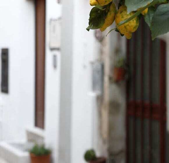 تختخواب و صبحانه La Terrazza Del Poeta