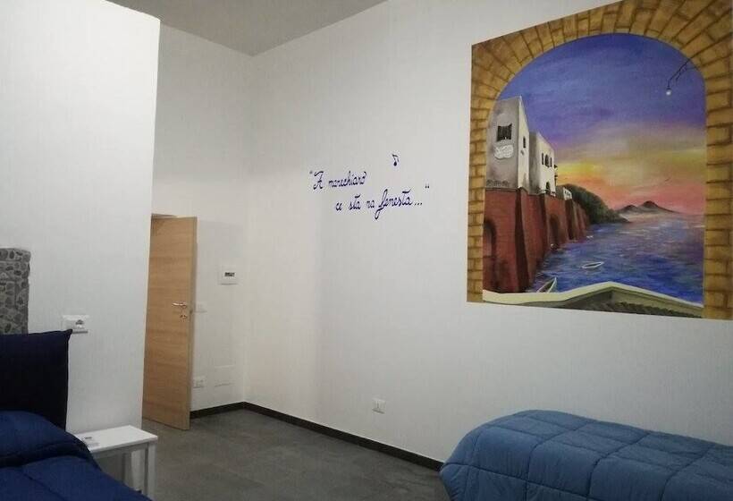 پانسیون Domus 19