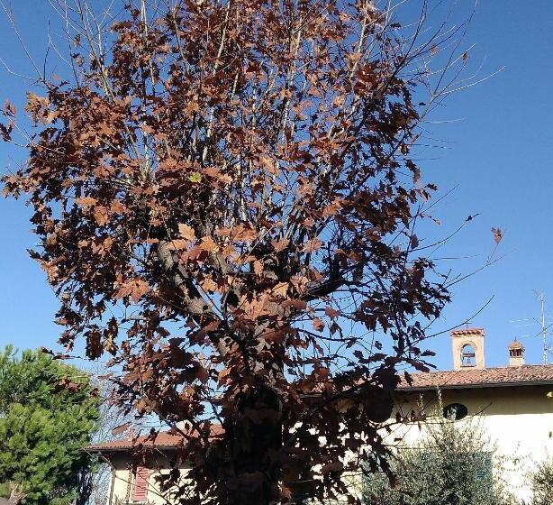 Cascina Corteprimavera, B&b Del Baliot
