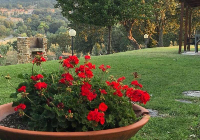 Country House Poggio Aione