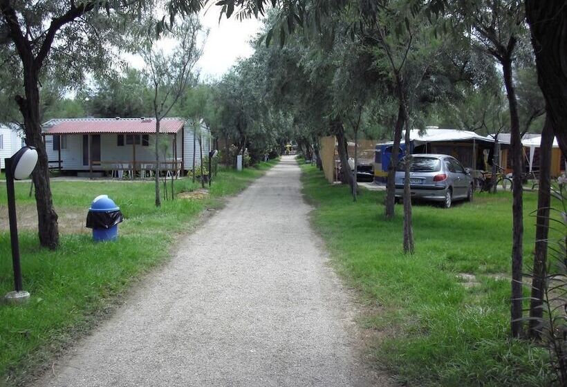 Отель Maronda Camping